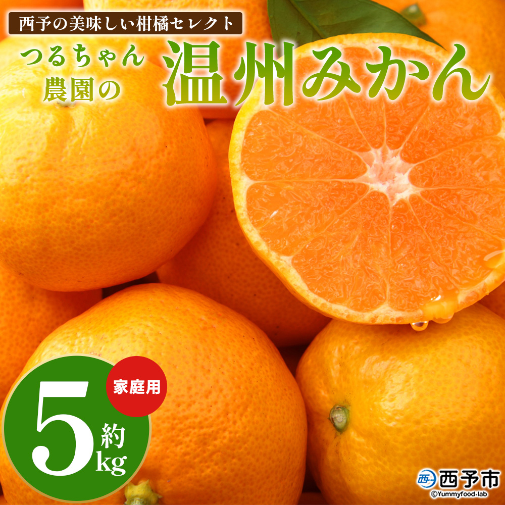 [予約受付]西予の美味しい柑橘セレクト(ご家庭用) /温州みかん 約5kg[11月頃から2027年1月中旬頃までに順次出荷予定]