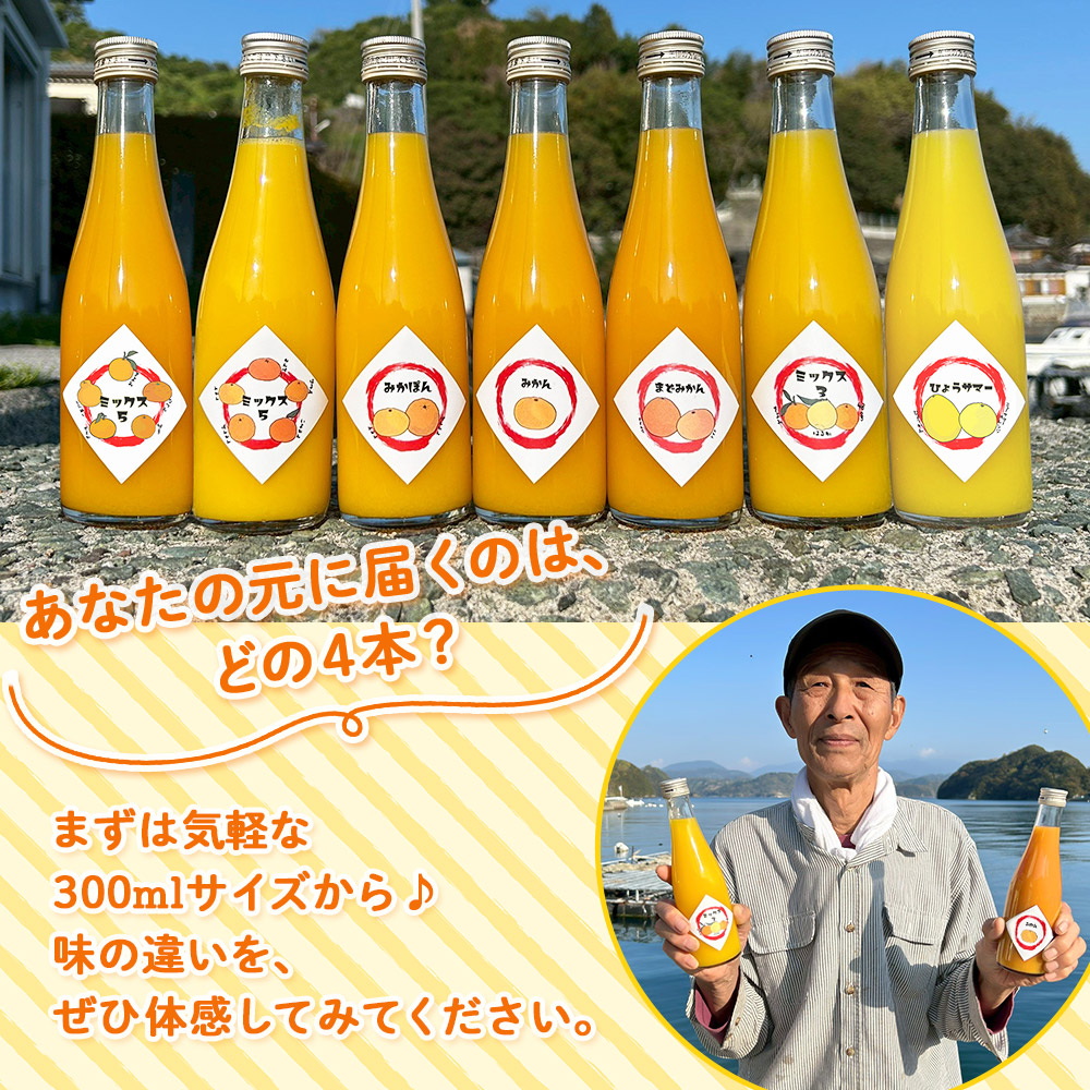 ＜一歩会 ジュエリーボックス ジュース飲み比べセット ミニ 300ml×4本入り＞ 愛媛 果汁 100% ジュース ストレートジュース みかんジュース セット 柑橘 飲料 オレンジ 特産品 渡江から一歩を踏み出す会 愛媛県 西予市