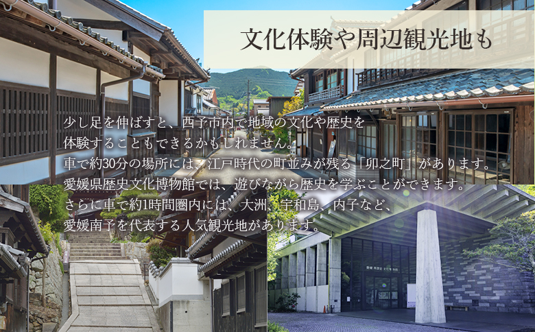 ＜築160年の古民家民宿シュエ(1名様1泊宿泊券)農作業体験3時間/食事付きプラン(夕食朝食)＞ 体験内容 農業 果物 野菜収穫 釣り 夕食 朝食 昼食 農家民宿 泊まり 利用券 旅行 トラベル 一泊 自然 里山 海の近く 歴史 文化体験 周辺観光 愛媛県 西予市