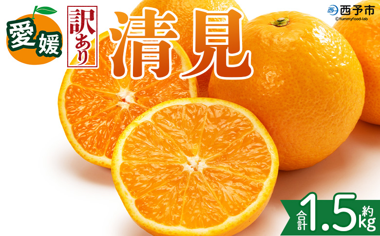 [[訳あり]愛媛県産 清見 約1.5kg]『2027年2月上旬〜4月下旬迄順次発送予定』 わけあり ジューシー 果肉 訳アリ きよみ みかん 柑橘 蜜柑 果物 くだもの フルーツ ミカン 果汁 国産 特産品 株式会社三代目みかん職人 愛媛 西予市[常温]
