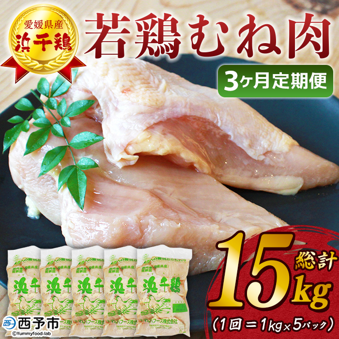 [[3ヶ月定期便]銘柄鶏 浜千鶏 愛媛県産 若鶏むね肉 5kg(1kg×5)] 国産 鶏肉 大容量 業務用 家庭用 鳥肉 とり チキン ムネ はまちどり 精肉 塊 ブロック 定期便 産地直送 マルハフーズ株式会社 愛媛県 西予市
