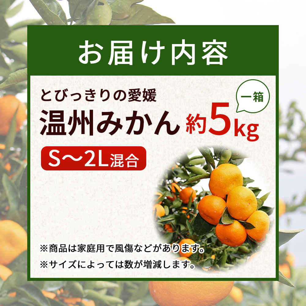 ＜とびっきりの愛媛 温州みかん 約５kg（家庭用大小混合）＞ 訳あり 家庭用 果物 柑橘 フルーツ 西宇和 愛媛県 西予市