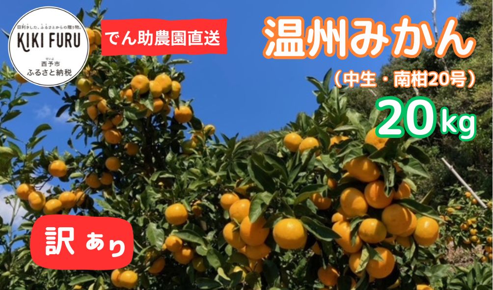 でん助農園の温州みかん（中生・南柑20号）　訳あり　20kg