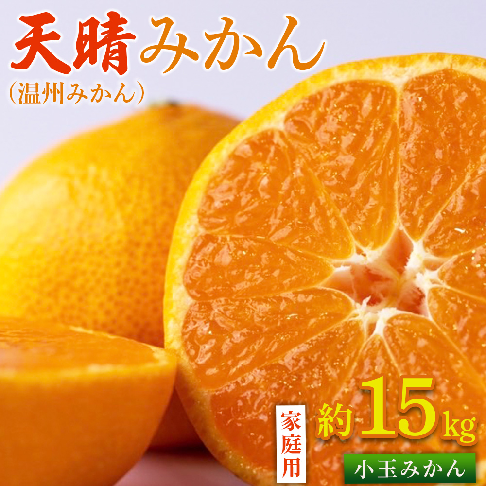 ＜愛媛県明浜産 天晴みかん（温州みかん）約15kg 小玉サイズ＞ 家庭用 訳あり ワケアリ 果物 くだもの フルーツ ミカン 柑橘 特産品 笑丸 愛媛県 西予市