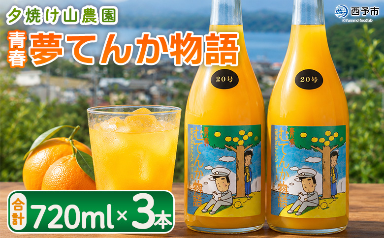 ＜青春 夢てんか物語 合計3本＞『1か月以内に順次出荷予定』 ジュース みかんジュース 温州みかん うんしゅうみかん 柑橘 果物 みかん 蜜柑 ミカン 詰め合わせ 詰合せ 夕焼け山農園 特産品 愛媛県 西予市【常温】