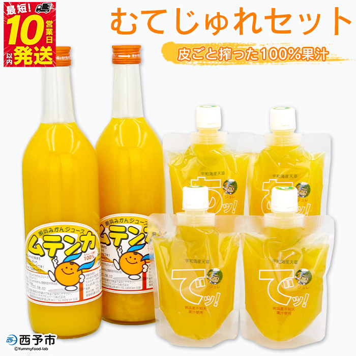 ＜むてじゅれセット（みかんジュース「ムテンカ」720ml×2本 じゅれ 2種×2個）MJ-2＞温州みかん ミカン 飲むゼリー あけはまシーサイドサンパーク 贈答用 愛媛県西予市