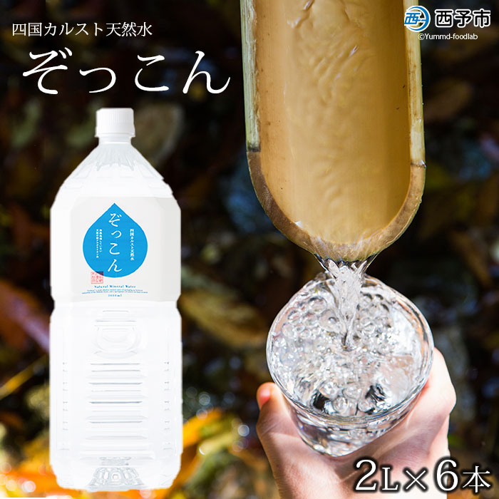 ＜四国カルスト天然水ぞっこん 2L×6本 計12L＞飲料 水 みず 中硬水 弱アルカリイオン水 ペットボトル ウォーター バナジウム 備蓄 防災 キャンプ アウトドア 国産 特産品 ぞっこん四国 愛媛県 西予市