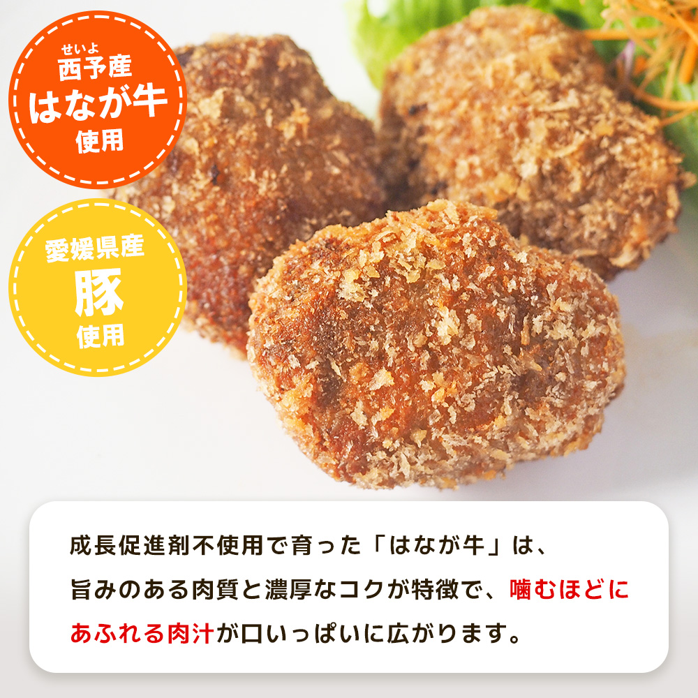 ＜はなが牛を使用した合挽メンチカツ 計6個＞ 3個入り オリジナル おつまみ 手作り 肉肉しい お肉 牛肉 はなが牛 国産 メンチカツ 肉加工品 冷凍食品 揚げ物 おかず 夕食 特産品 ゆうぼく 愛媛県 西予市