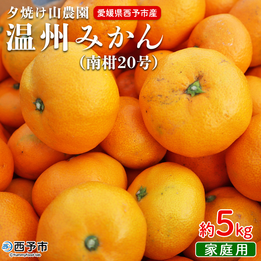 ＜夕焼け山農園 愛媛県西予市産 温州みかん 家庭用 約５kg（南柑20号）＞果物 フルーツ ミカン 柑橘 なんかん 訳あり 愛媛県 西予市