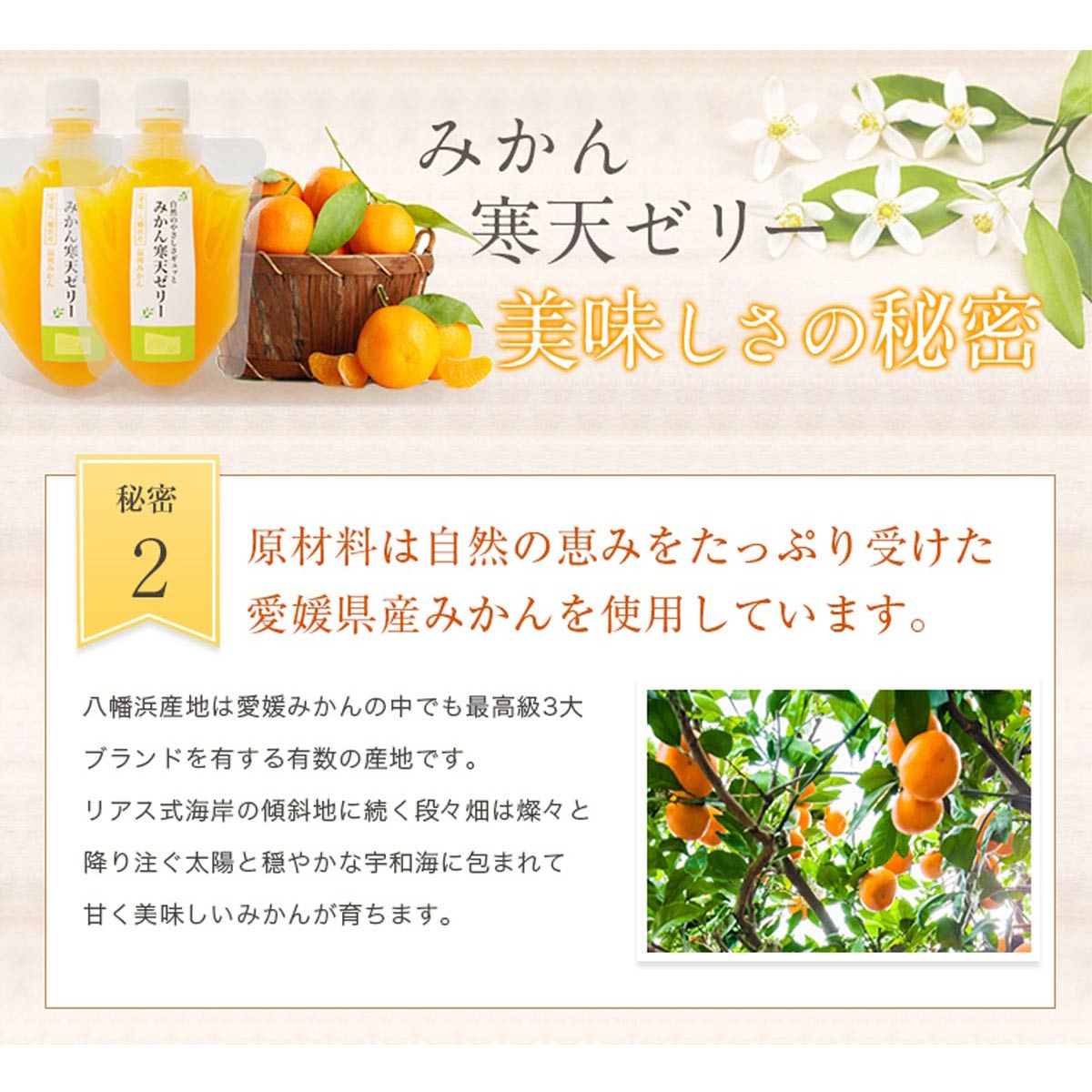 ＜5種の味わい食べ比べ寒天ゼリー＞ 『1か月以内に順次出荷予定』愛媛柑橘セレクション お任せ 贅沢 フルーツ デザート セット 果物 みかん ひんやりスイーツ おやつ ギフト 贈り物 特産品 ミヤモトオレンジガーデン 愛媛県 西予市【常温】
