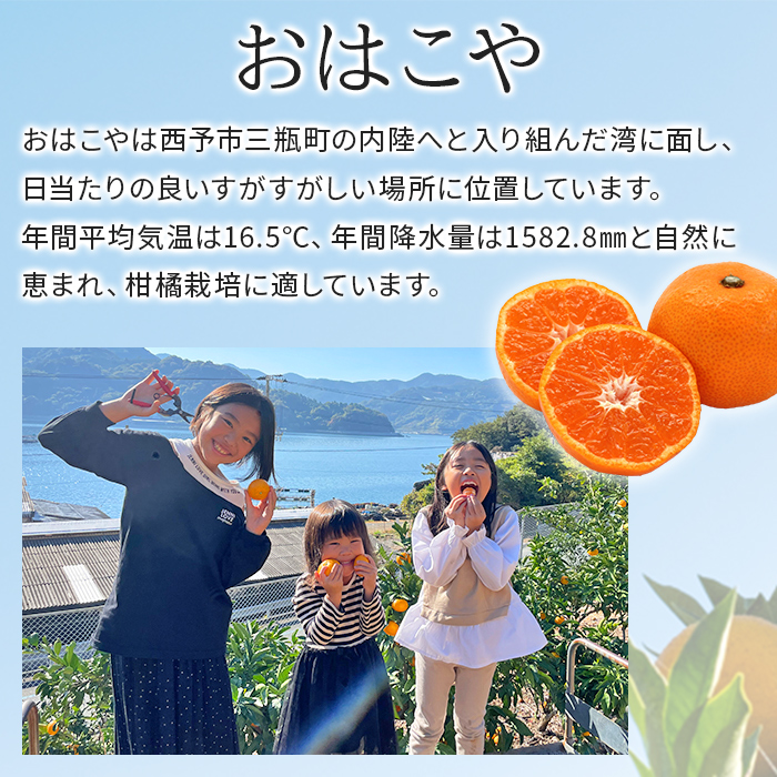 ＜おはこやのジュース飲み比べ 2種セット 720ml×2本（温州みかん・不知火）＞ 果物 フルーツ 柑橘 ミカン 蜜柑 果汁 100％ ストレート 無添加 特産品 西宇和 愛媛県 西予市