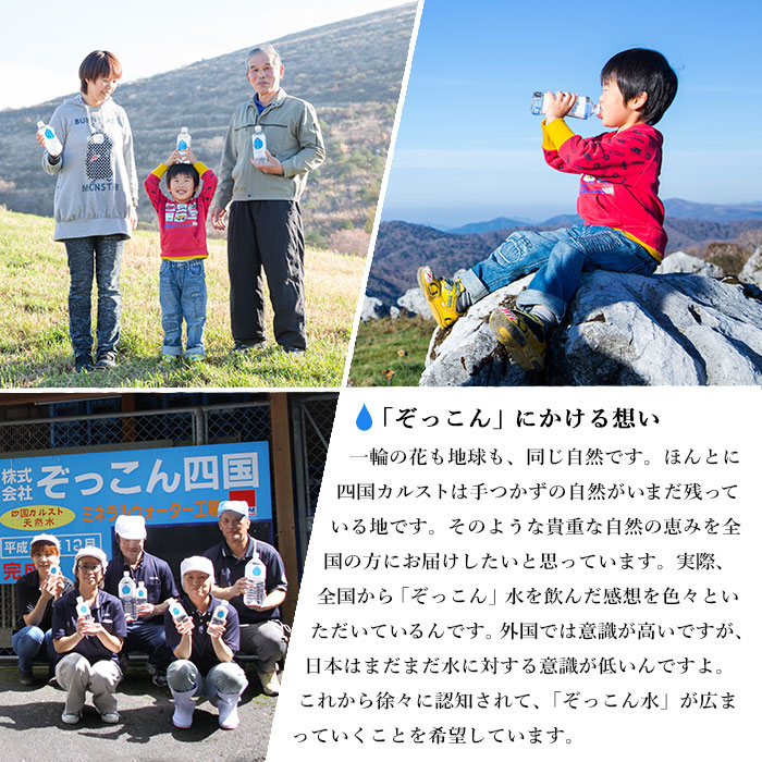 ＜四国カルスト天然水ぞっこん (6L×2本)×2ケース 計4本＞ 飲料 水 みず 中硬水 弱アルカリイオン水 ガロンボトル ウォーター バナジウム 備蓄 防災 キャンプ アウトドア 国産 特産品 ぞっこん四国 愛媛県 西予市