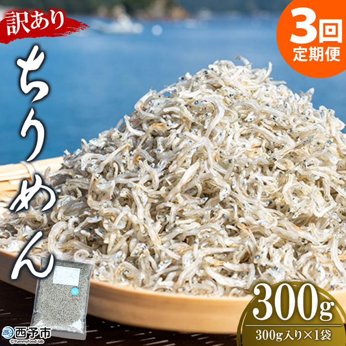 ＜訳あり ちりめん 合計300g（300g入り×1袋） 3回定期便＞ 選べる 定期便 天日干し お徳用 しらす シラス じゃこ 小分け 魚 小魚 海産物 加工品 おにぎり おつまみ おやつ 家庭用 特産品 網元・祇園丸 愛媛県 西予市