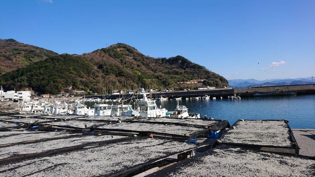 井上水産の明浜ちりめんＢ