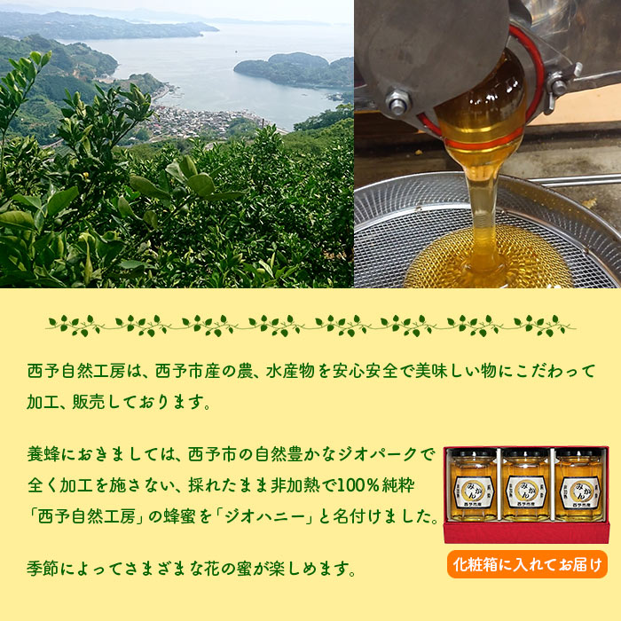 みかん蜂蜜「ジオハニー」170g×３瓶（化粧箱入り）