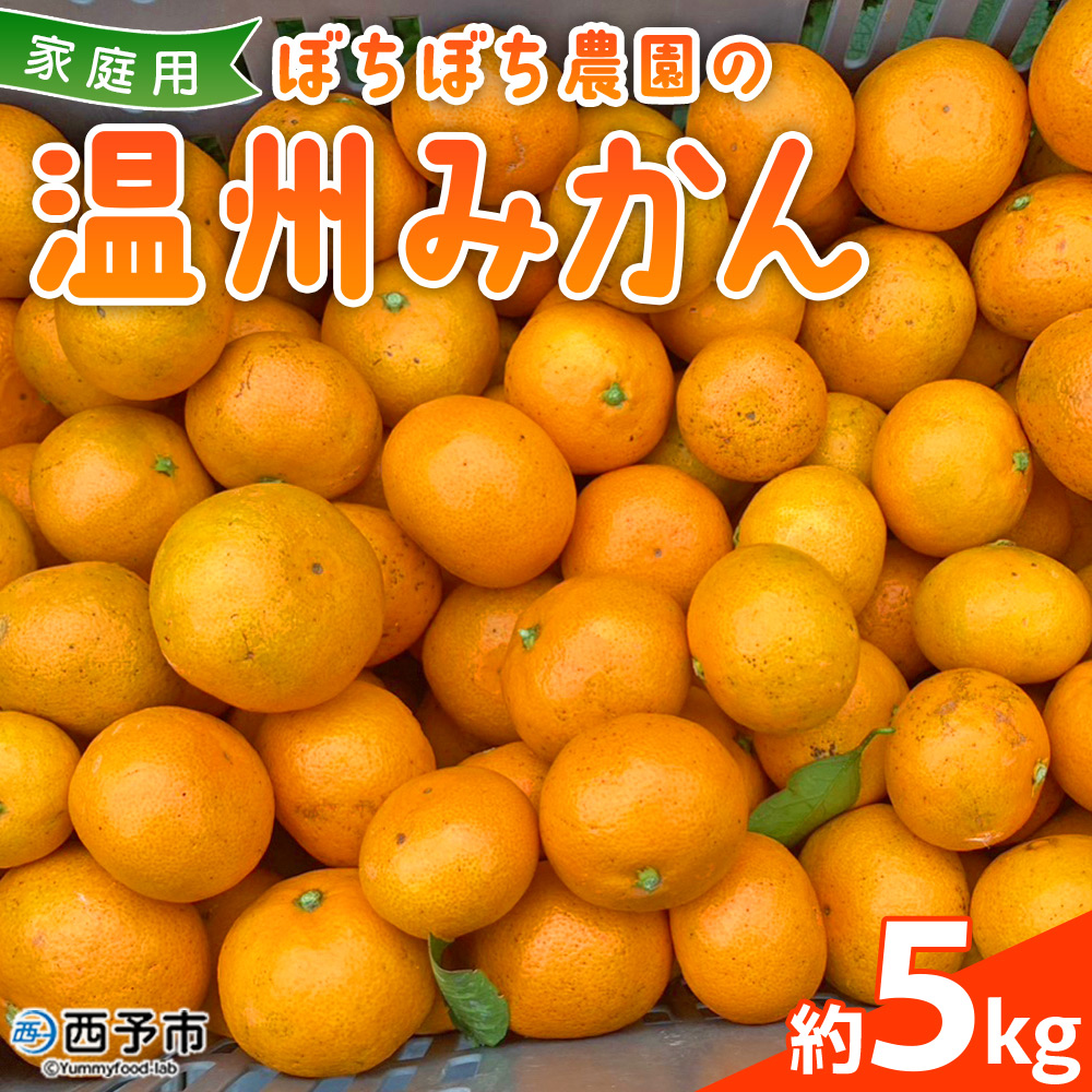 ぼちぼち農園の温州みかん5kg　家庭用