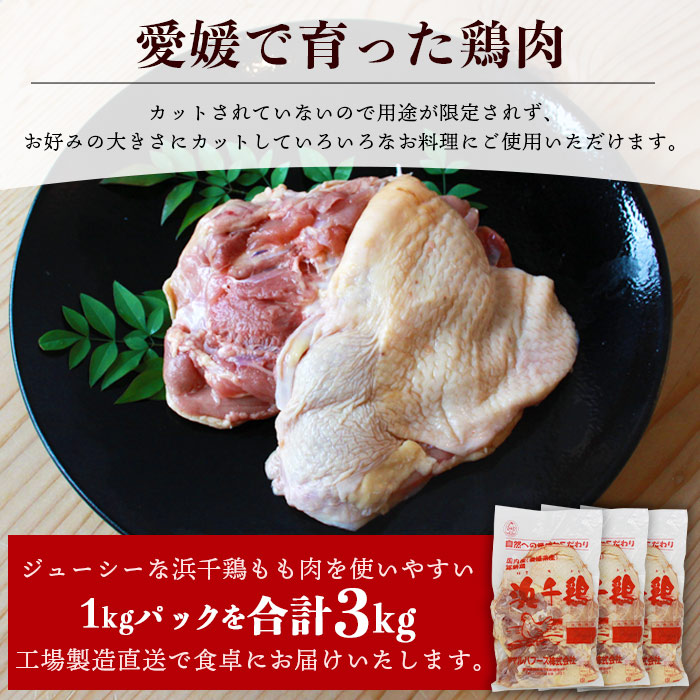 ＜銘柄鶏 浜千鶏 愛媛県産 若鶏もも肉 3kg（1kg×3）＞ 国産 鶏肉 鳥肉 とり チキン モモ肉 はまちどり ブロック 精肉 にく 料理 アレンジ 夕飯 夕食 お弁当 昼食 唐揚げ から揚げ 焼き鳥 マルハフーズ株式会社 愛媛県 西予市【冷凍】『1か月以内に順次出荷予定』