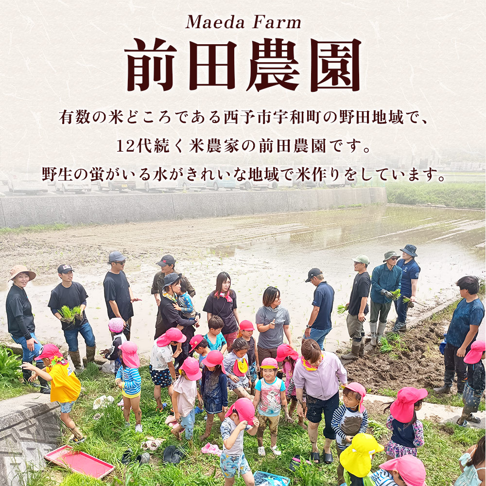 ＜にじのきらめき 約5kg＞ 5キロ ニジノキラメキ 米 お米 コメ こめ 白米 精米 ご飯 ライス 大粒 穀物 西予応援米 特産品 愛媛県産 西予市産 宇和町産 前田農園 愛媛県 西予市 