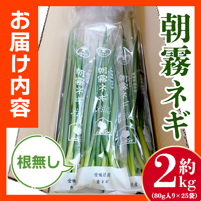 ＜愛媛県西予市産 朝霧ネギ 約2kg（80g入り×25袋）＞ 根無し 西予市産 愛媛県産 国産 野菜 やさい 青葱 青ネギ 青ねぎ 葉ネギ 葱 ねぎ 特産品 株式会社ノムランド 愛媛県 西予市