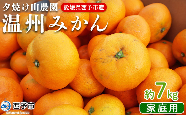 ＜夕焼け山農園 愛媛県西予市産 温州みかん 家庭用 約7kg＞果物 フルーツ ミカン 柑橘 なんかん 訳あり 愛媛県 西予市