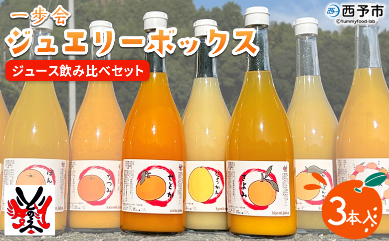 ＜一歩会 ジュエリーボックス ジュース飲み比べセット 720ml×3本入り（果汁100%ストレートジュース）＞『令和8年5月より順次出荷予定』愛媛 みかん ミカン 柑橘 果物 フルーツ 特産品 渡江から一歩を踏み出す会 愛媛県 西予市