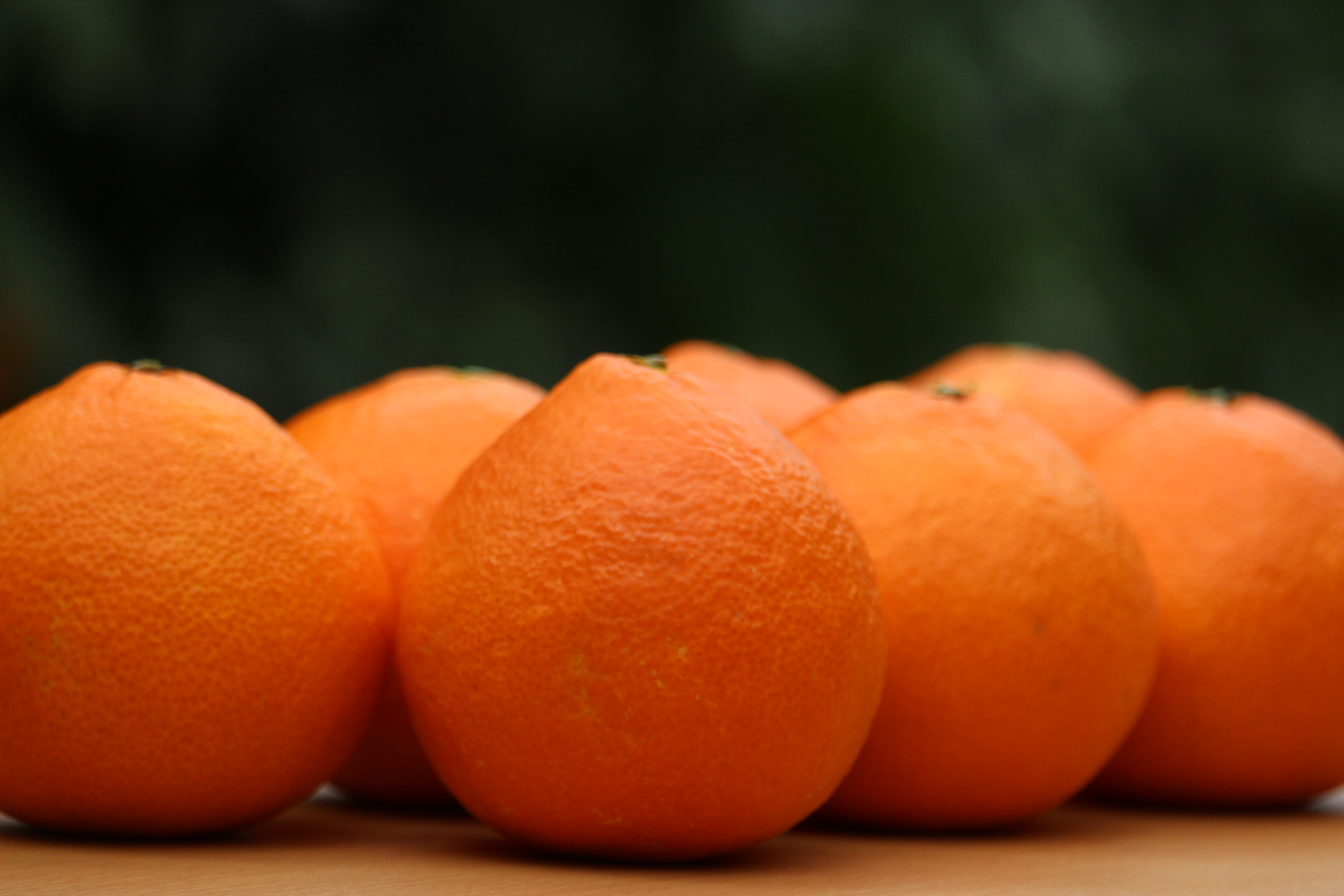 宇和のマドンナ　M〜L寸（数量限定）