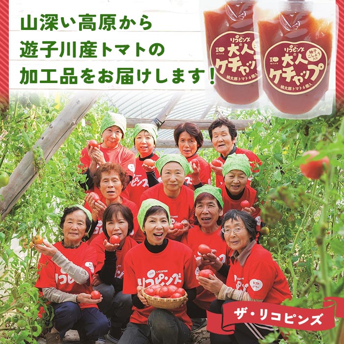 ïŒã¡ãã£ãŽãããªèŸã§å€§äººãæºè¶³ïŒå€§äººã±ãã£ãã 4åã»ããïŒ ãšãŸãš éè å®ç æåè¡æ€ ãããã èª¿å³æ èŸå£ ãã¹ã¿ãœãŒã¹ ããªãœãŒã¹ ã®ãã èŽãç© é£ã¹ãŠå¿æŽ åœç£ ç¹ç£å éåå·ã¶ã»ãªã³ãã³ãº æåªç 西äºåž