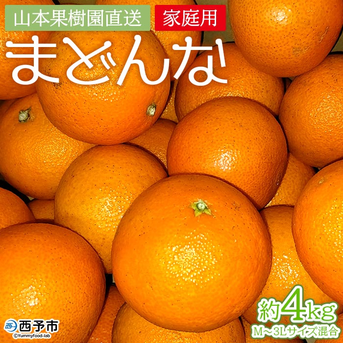 ＜まどんな 約４kg（家庭用・M～3Lサイズ混合）＞ 果物 オレンジ フルーツ 柑橘 みかん 愛果28号 マドンナ 自宅用 産地直送 西宇和 愛媛県 西予市