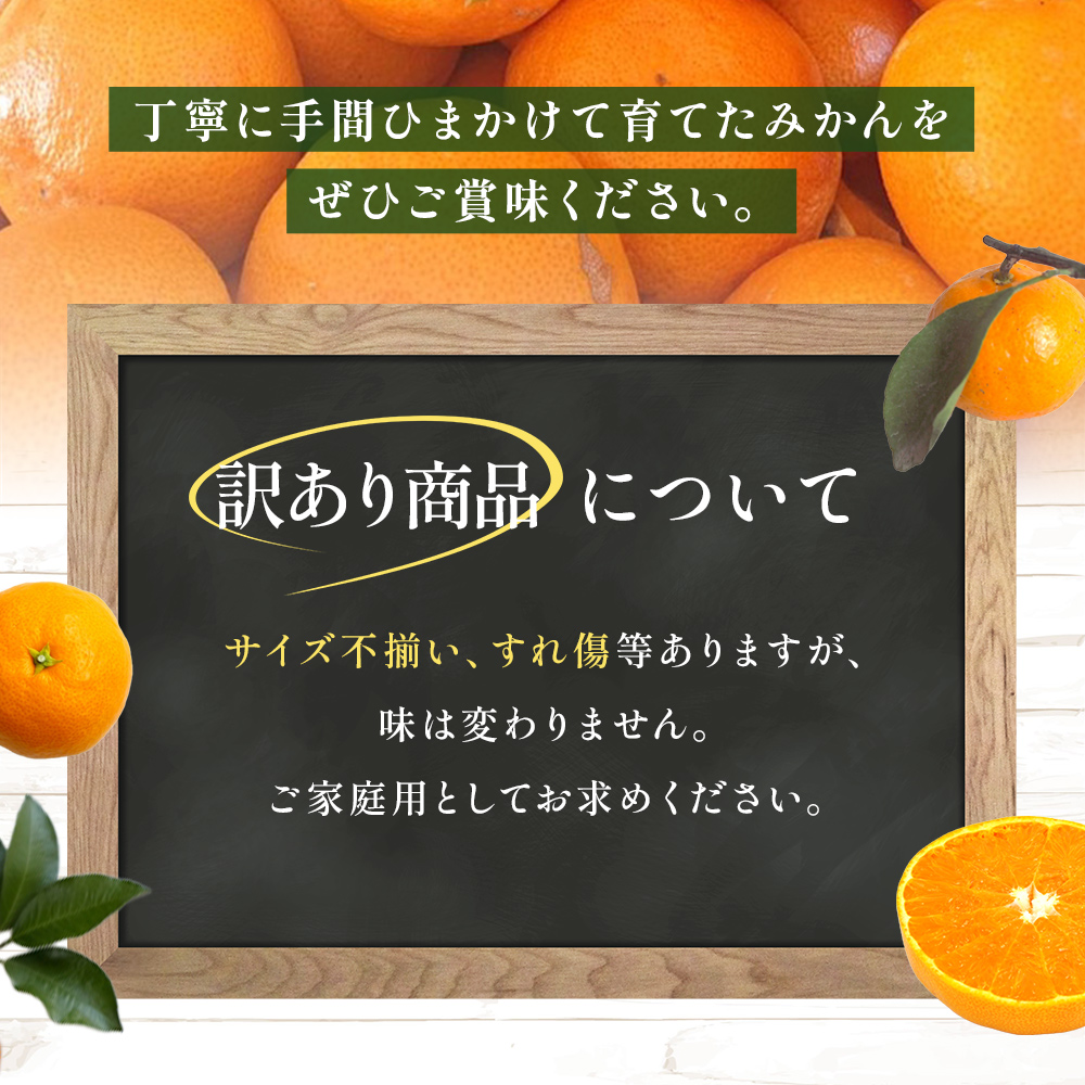 ＜【訳あり】温州みかん（南柑20号）約5kg＞数量限定 産地直送 家庭用 みかん ミカン 柑橘 フルーツ 果物 愛媛県 西予市