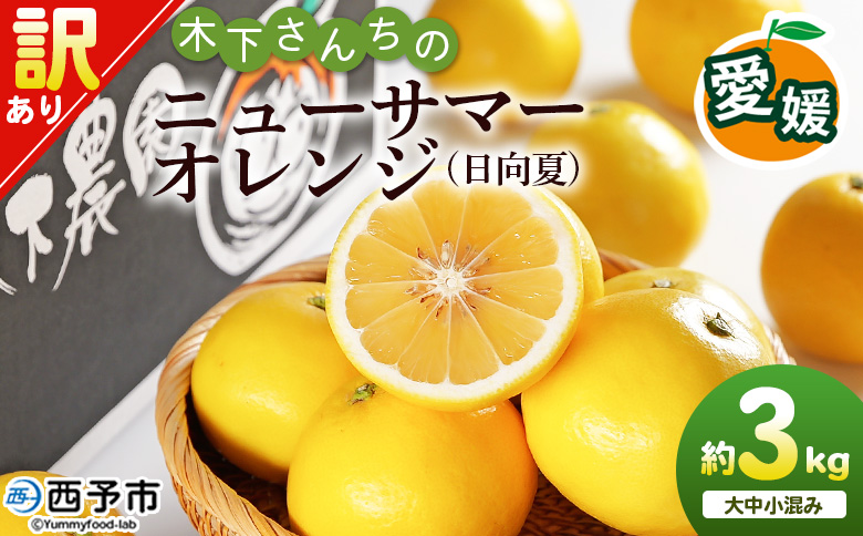 [木下さんちのニューサマーオレンジ 訳あり 約3kg(大中小サイズ混み)] 柑橘類 日向夏 ミカン 蜜柑 果物 くだもの フルーツ 国産 特産品 木下農園 愛媛県 西予市[常温]『2027年4月上旬〜5月中旬に順次出荷』