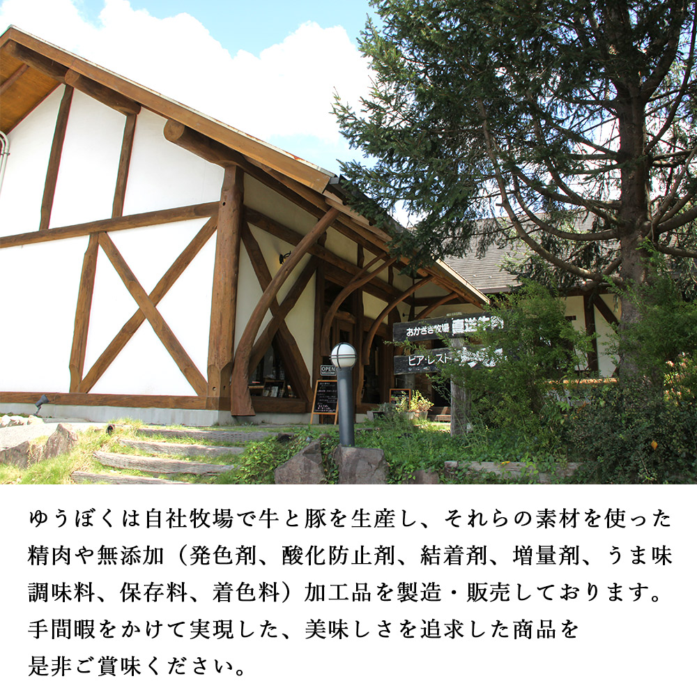 ＜はなが牛を使用した合挽メンチカツ 計6個＞ 3個入り オリジナル おつまみ 手作り 肉肉しい お肉 牛肉 はなが牛 国産 メンチカツ 肉加工品 冷凍食品 揚げ物 おかず 夕食 特産品 ゆうぼく 愛媛県 西予市