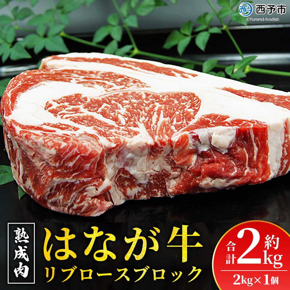 ＜熟成肉 はなが牛リブロースブロック約2kg（2kg×1個）＞ 牛肉 ステーキ 鉄板焼き 焼き肉 国産 塊肉 かたまり 霜降り しもふり バーベキュー BBQ キャンプ アウトドア 特産品 ゆうぼく 愛媛県 西予市