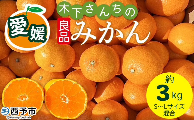 [木下さんちのみかん 良品 約3kg(S〜Lサイズ混合)]『2026年11月中旬〜12月下旬に順次出荷予定』 柑橘類 温州みかん うんしゅうみかん みかん ミカン 蜜柑 果物 くだもの フルーツ 特産品 木下農園 西宇和 愛媛県 西予市[常温]