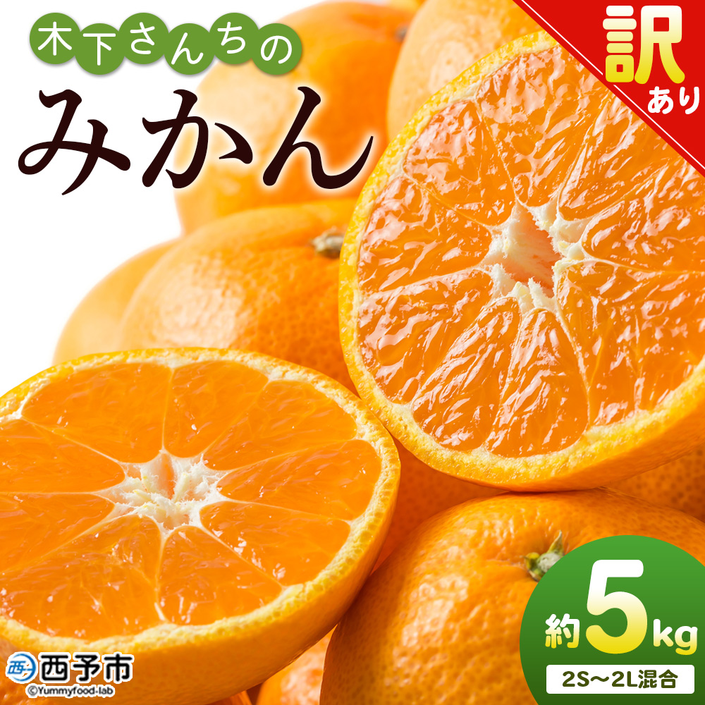 ＜木下さんちのみかん 訳あり 約5kg（2S～2Lサイズ混合）＞ 選べる わけあり 家庭用 柑橘 温州みかん うんしゅうみかん ミカン 蜜柑 果物 くだもの フルーツ 国産 特産品 木下農園 愛媛県 西予市【常温】『2026年11月中旬〜12月下旬迄に順次出荷予定』