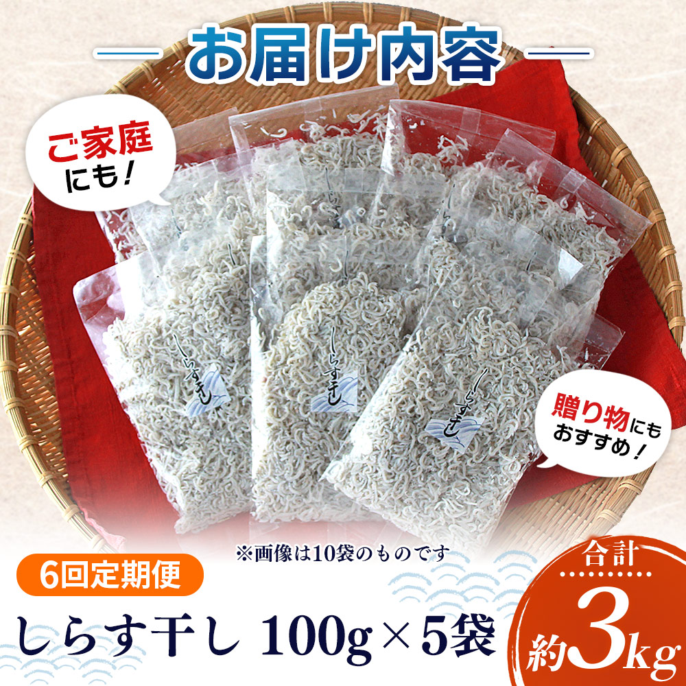 ＜【6回定期便】漁師さん自慢のしらす干し 合計500g（100g×5パック）＞ シラス 魚介類 さかな 海産物 海鮮 海の幸 小分け 国産 ご飯のお供 丼 おつまみ 晩酌 おかず おやつ 特産品 産地直送 濵田水産 愛媛県 西予市