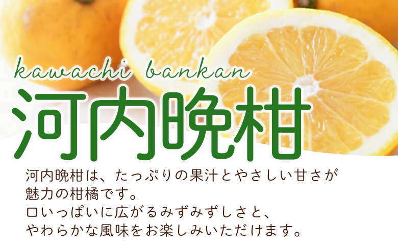 ＜愛媛県西予市産 さわやか柑橘セット 合計約3kg＞『5月～6月中旬頃迄に順次出荷予定』甘夏 河内晩柑 あまなつ ばんかん 果物 フルーツ みかん ミカン 蜜柑 食べ比べ 詰合せ 甘酸っぱい かんきつ 柑橘 特産品 夕焼け山農園 愛媛県 西予市 【常温】