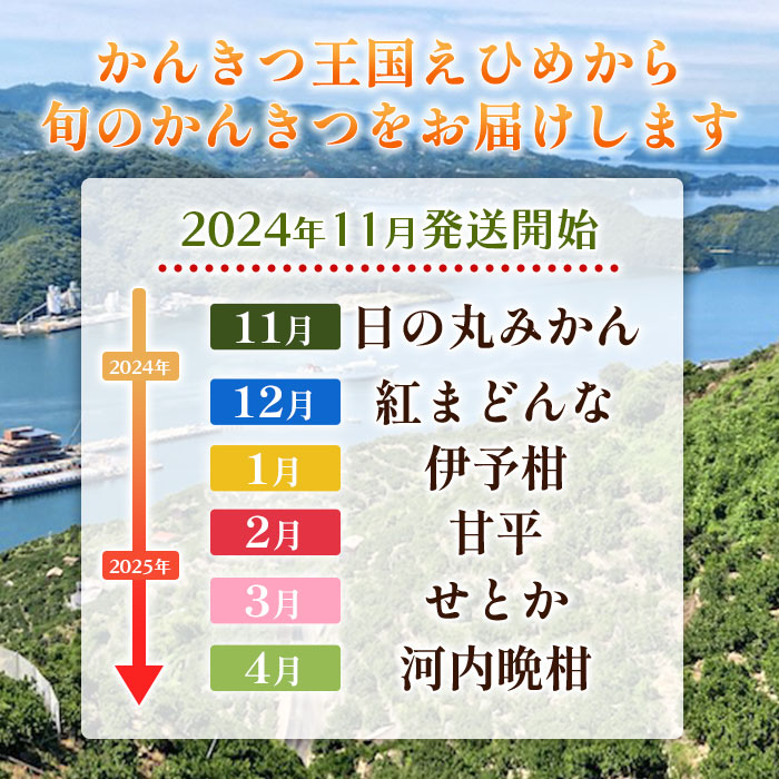 ＜2024年11月発送開始 えひめかんきつ定期便 全6回＞ 果物 フルーツ みかん ミカン 蜜柑 日の丸みかん 紅まどんな 伊予柑 甘平 せとか 河内晩柑 愛媛県 西予市