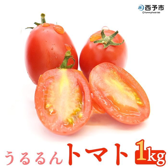 ＜「うるるんトマト」約1kg（250g×4パック×1箱） 甘くて濃厚な味わい＞ 野菜 とまと ミニトマト 特産品 食べて応援 くまさん農園 愛媛県 西予市