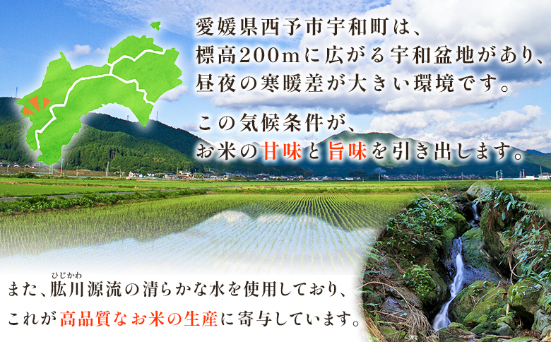 ＜令和7年産 愛媛県西予市産 コシヒカリ 田んぼダム米 10kg＞ ※最短10営業日以内に順次発送予定 10キロ こしひかり 西予応援米 宇和米 お米 コメ こめ 白米 精米 米 国産 愛媛県産 宇和町産 和みファーム 愛媛県 西予市
