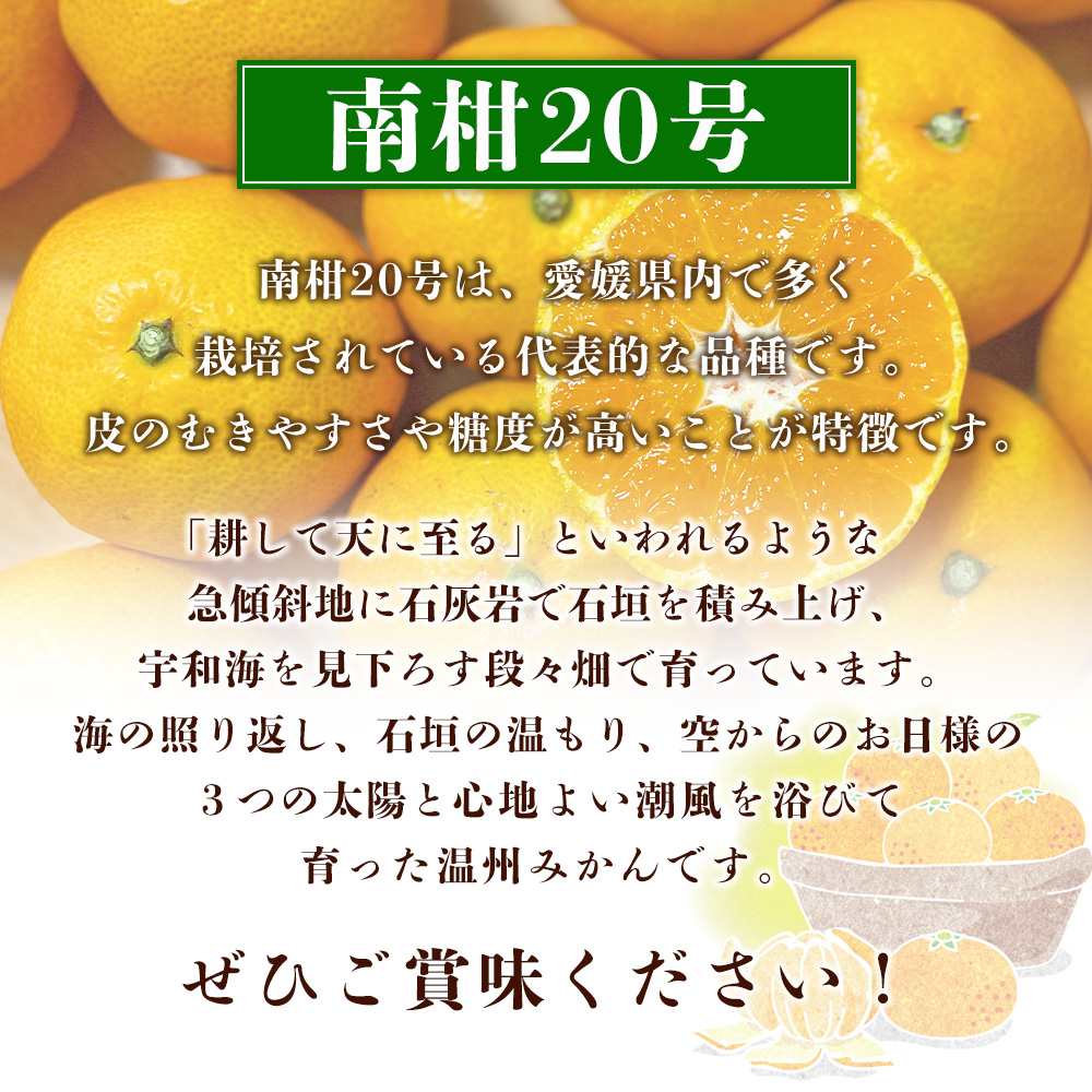 ＜夕焼け山農園 愛媛県西予市産 温州みかん 家庭用 約３kg（南柑20号）＞果物 フルーツ ミカン 柑橘 なんかん 訳あり  愛媛県 西予市