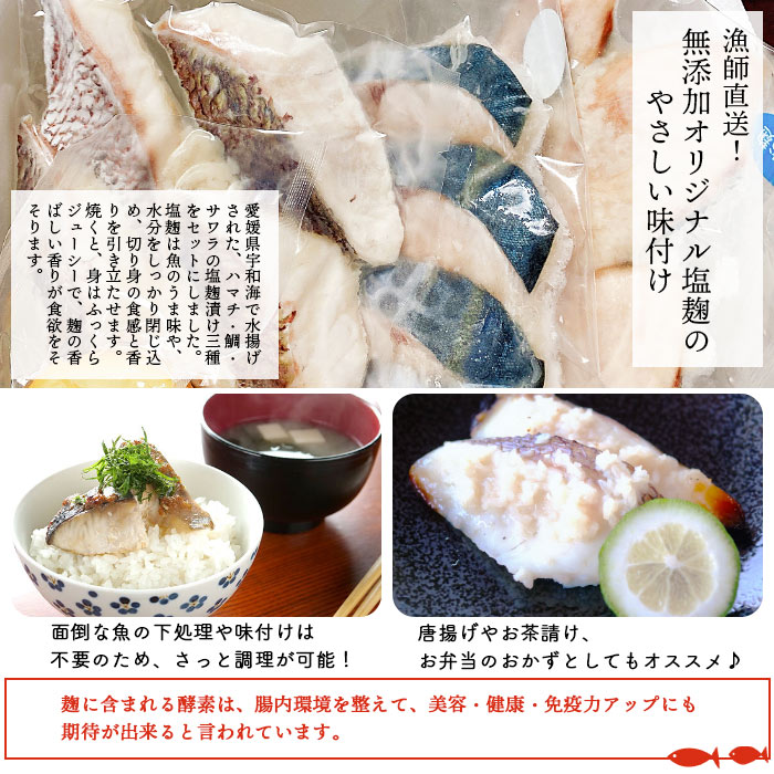 漁師直送　無添加　塩麹　三種セット（愛媛県西予市明浜産）