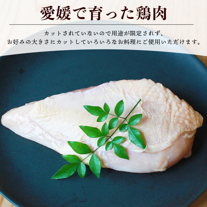 ＜【6ヶ月定期便】銘柄鶏 浜千鶏 愛媛県産 若鶏むね肉 5kg（1kg×5）＞ 国産 鶏肉 大容量 業務用 家庭用 鳥肉 とり チキン ムネ はまちどり 精肉 塊 ブロック 定期便 産地直送 マルハフーズ株式会社 愛媛県 西予市