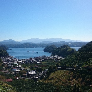 愛媛県明浜産　はるか（3kg）