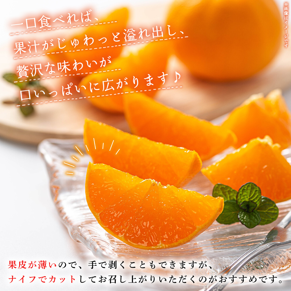 ïŒç£å°çŽéïŒæåªçææµçºç£ ããšã çŽ5kgïŒ ã»ãã« æç© ãã ãã® ã¿ãã ãã«ã³ ææ© ãã«ãŒã ææ©é¡ æå® é«çŽ ç³åºŠ ææ± ææ©ã®å€§ãã çã åœç£ ç¹ç£å å®éœå®®èŸ²å æåªç 西äºåž