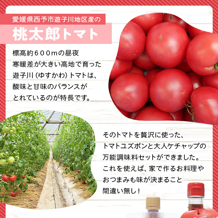＜お料理の決め手！何にでも合う トマト調味料セット（トマトユズポン・大人ケチャップ 各1個）＞ とまと 野菜 ゆず ポン酢 完熟 調味料 詰め合わせ ギフト 食べて応援 国産 特産品 遊子川ザ・リコピンズ 愛媛県 西予市