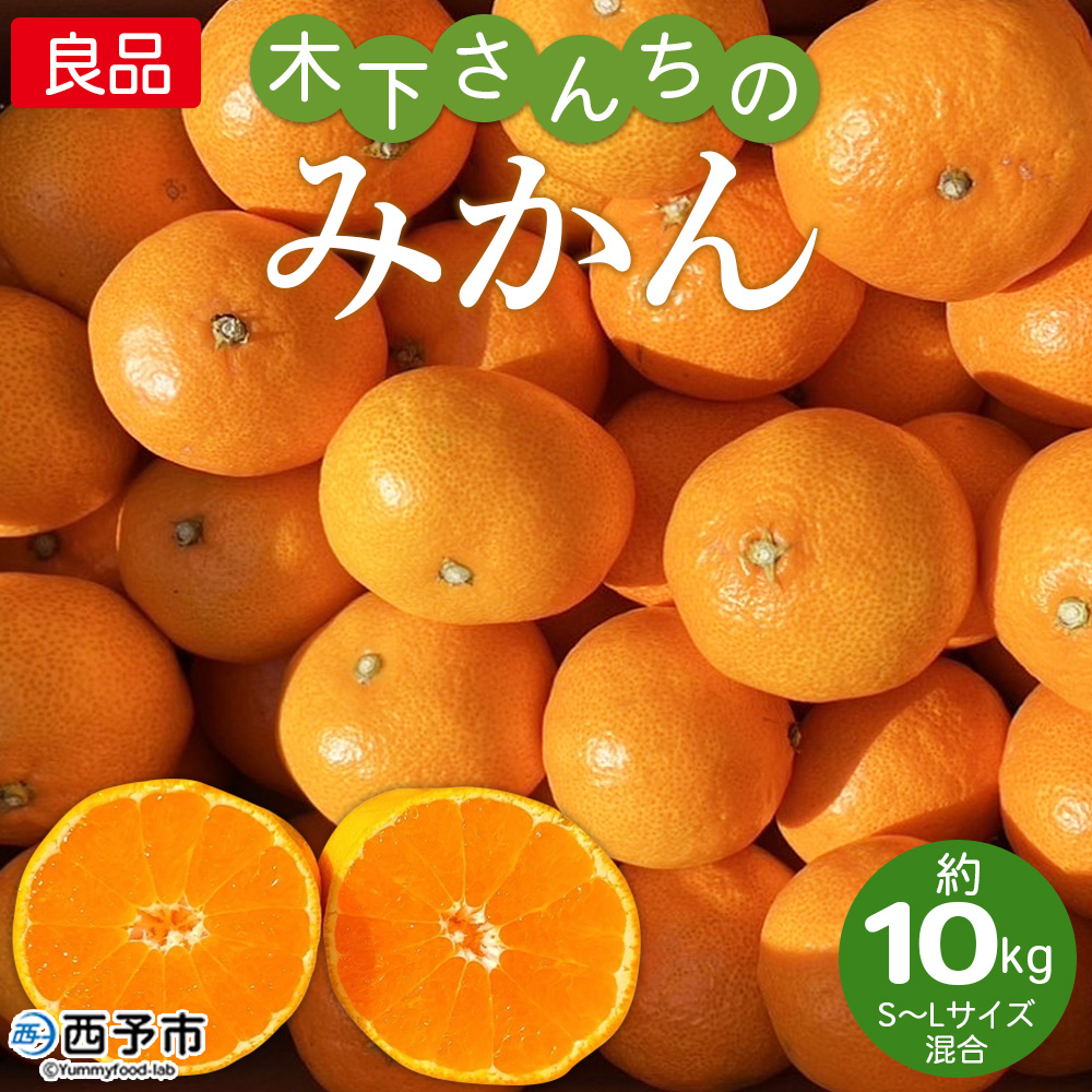 ＜木下さんちのみかん 良品 約10kg（S～Lサイズ混合）＞ 柑橘 温州みかん ミカン 果物 くだもの フルーツ 西宇和 愛媛県 西予市