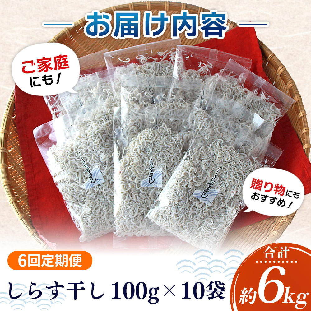 ＜【6回定期便】漁師さん自慢のしらす干し 合計1kg＞ 定期便 シラス 魚介類 さかな 海産物 海鮮 海の幸 小分け 国産 ご飯のお供 丼 晩酌 おかず 特産品 濵田水産 愛媛県 西予市