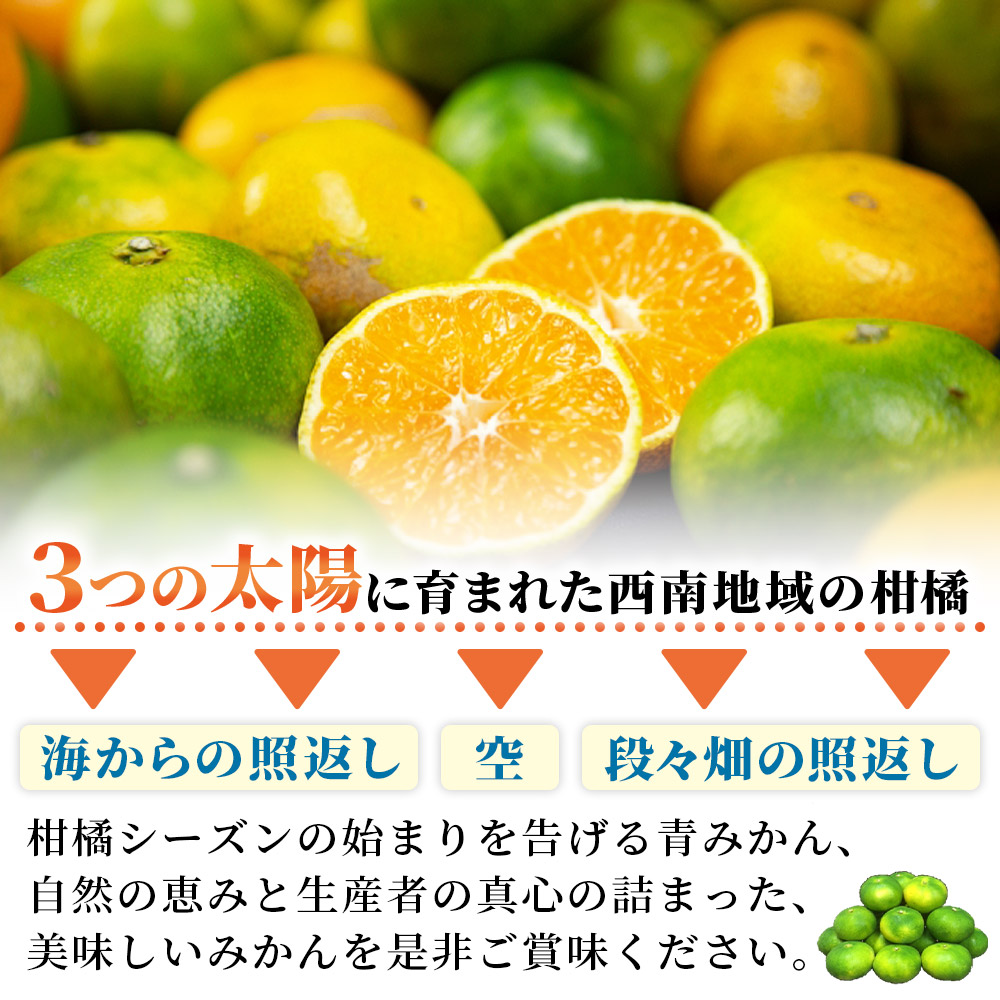 ＜極早生小玉みかん ご家庭用 約5kg＞ 果物 フルーツ ミカン  オレンジ 柑橘 愛媛県 西予市