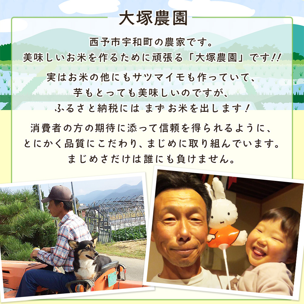 ＜愛媛県西予市産 コシヒカリ 3kg＞国産 愛媛県産 宇和町産 宇和米 こしひかり お米 米 コメ こめ 白米 精米 ご飯 新鮮 特産品 大塚農園 愛媛県 西予市