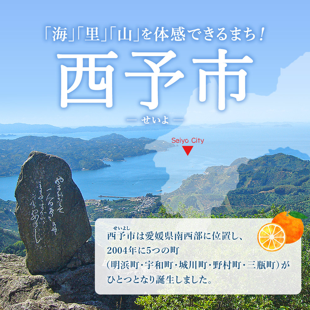 ＜農家めぐり 狩江柑橘ジュース 6選（多品種）＞ 多品種 アソート 愛媛県産 飲料 ジュース 国産 みかん 蜜柑 ミカン ストレートジュース 果汁 セット 飲み比べ 詰合せ 6本 企業組合かりエンジョイ 愛媛県 西予市 【常温】『4月中旬以降順次出荷予定』